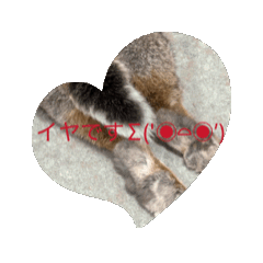 saori_20251002221024