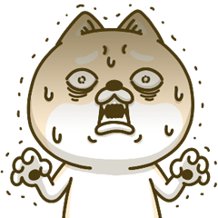 シバイヌーン13