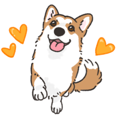 コーギーLunaの日常