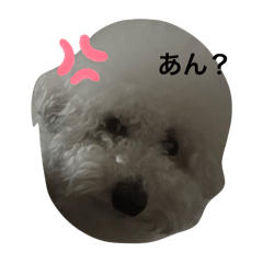 akane_20251002220024