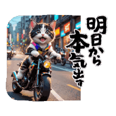 [Motion] Motorcycle-loving cat 2