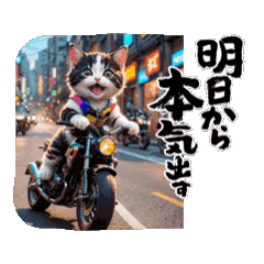 【動く】バイクが好き❤️ねこ ２