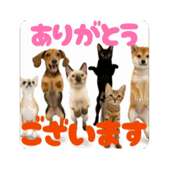 お酒とネコ好きな日常会話67ワンコロのver.