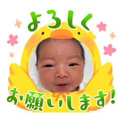 akari_20251003102651
