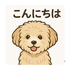 msk_20251002233430