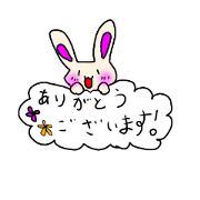 Polite Rabbit*