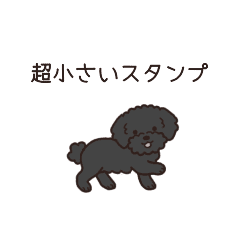 やさしいトイプー『超ミニサイズ！』