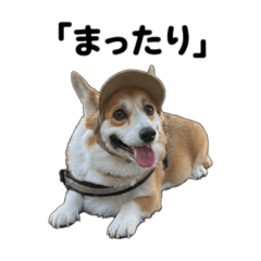 M_20251003140903