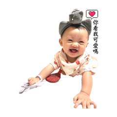 可愛の多多在這裡