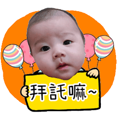 請多多指教指教