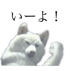 shibainupw