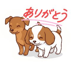 hana_20251002144444