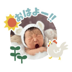 momo_20251003121541423