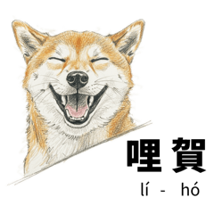 柴犬台語日常