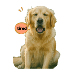 Animal Stamp Dog Edition 2  EngVr