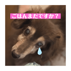 Mokapin_20251003160104