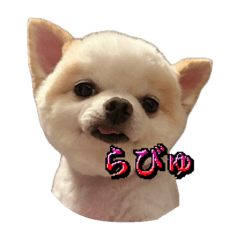 himawari_20251003153856