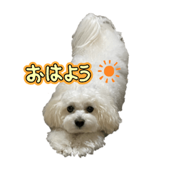 wataame_20251003181027