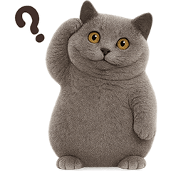 Grey Cat TuaTueng!! (No Text)