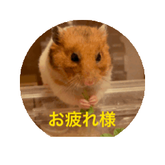 Toshizo_20251003193646