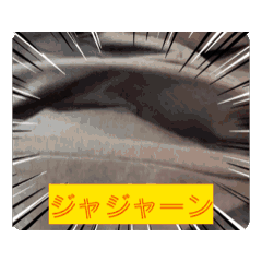 Grace_20251003231350