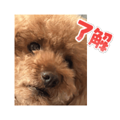 sachi_20251004003112