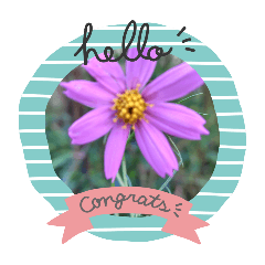 chloe_20251003201216