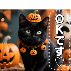 黒猫♡ハロウィン