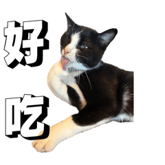 Zero budget random stickersss