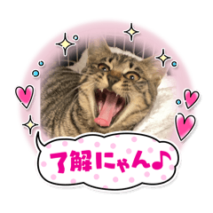 neko_stamp.