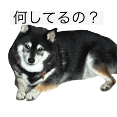 h_20251003211557