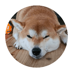 ASUKA_20251003211851