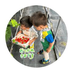 hinata_20251003220517