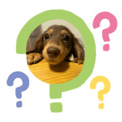 shiho_20251003220431