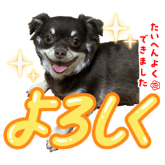 Derin_20251003221227