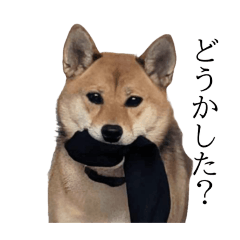 emi_20251003215205