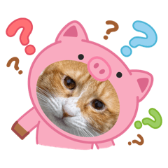 奶茶寶貝20251004