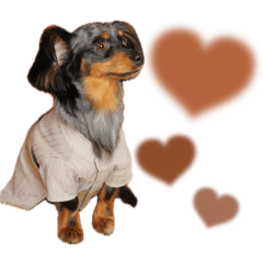 YUKARI_20251003222016