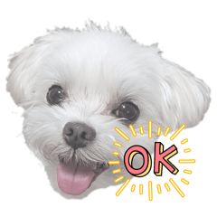 akane_20251003235946