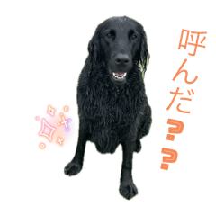 monaka_20251003235922