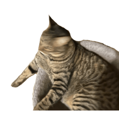 puripuri_20251004071457