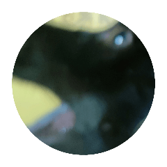 ㄚ黑日記-驚恐篇