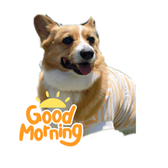 kaito_20251003232216