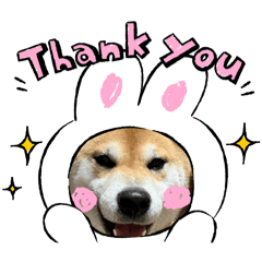 saori_20251003234049