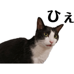 AKIKO_20251004004045