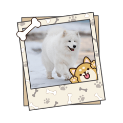 ryuki_20251003150209