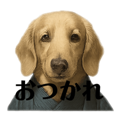 potetodog
