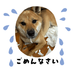 otenba.fukuchan