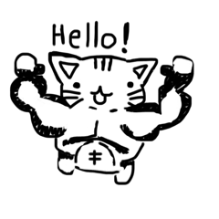 Chaos cat & funny cat