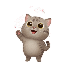 Pattern tabby